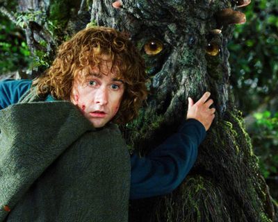 Billy Boyd — photo 15 in the Signet library