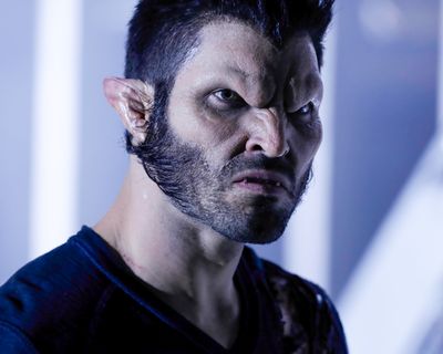 Tyler Hoechlin — photo 21 in the Signet library