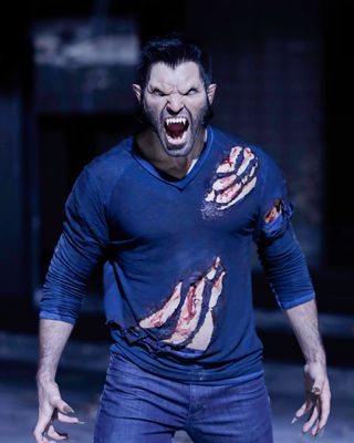 Tyler Hoechlin — photo 22 in the Signet library