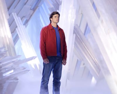 Tom Welling — photo 9 in the Signet library