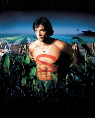 Tom Welling — photo 22 in the Signet library